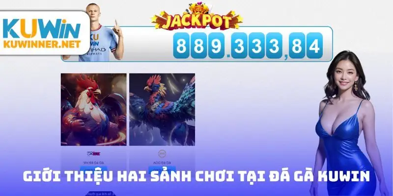 Giới thiệu hai sảnh chơi tại đá gà Kuwin
