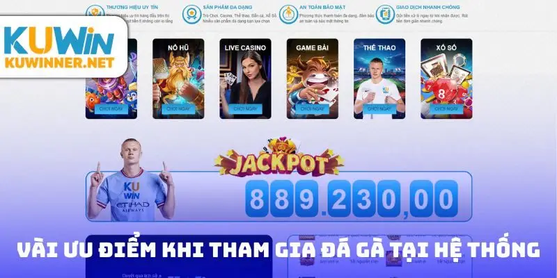 Một vài ưu điểm khi tham gia đá gà tại hệ thống nhà cái