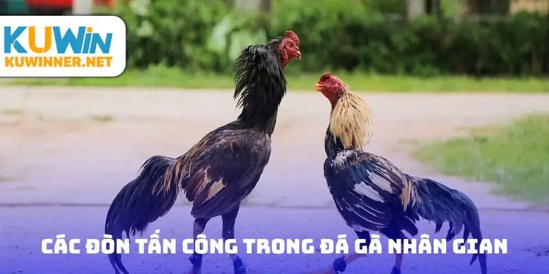 Các đòn tấn công trong đá gà nhân gian