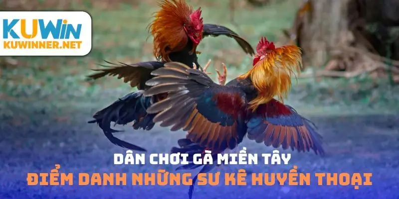 Dân chơi gà miền tây