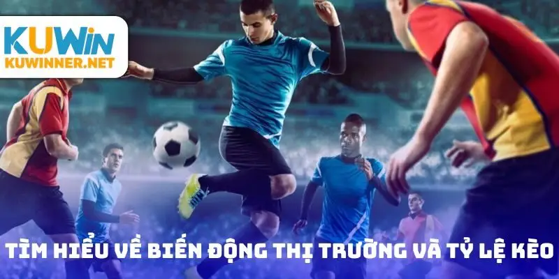 Tìm hiểu về biến động thị trường và tỷ lệ kèo