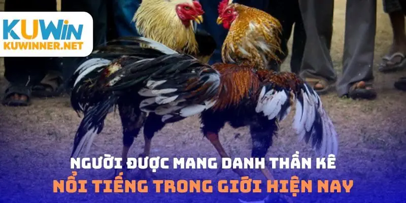 Người được mang danh thần kê