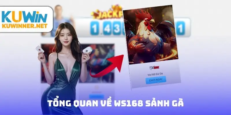 Tổng quan về Ws168 sảnh gà 